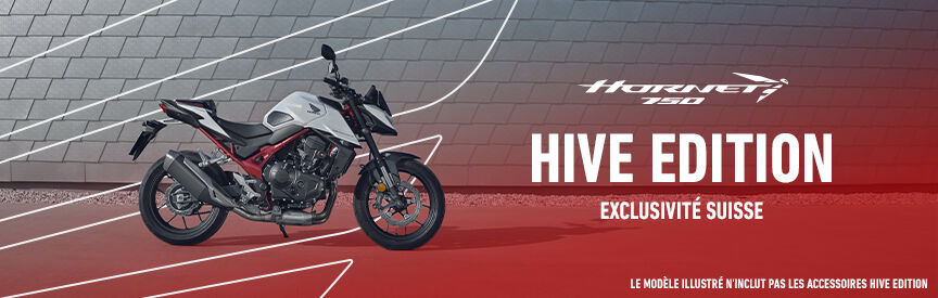 TA HORNET 750 HIVE EDITION À CHF 9'190.-