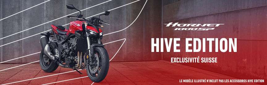 TA HORNET 1000 HIVE EDITION À CHF 11'990.-